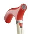 thumbnail image 3 of Switch Sticks Bâton De Marche Pliable, Coquelicots, 3 of 5
