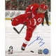 Photo Autographiée 8x10 po Pavel Datsyuk Detroit Red Wings – image 1 sur 1