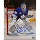 Photo Autographiée 8x10 po Ben Scrivens Toronto Maple Leafs – image 1 sur 1