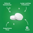 thumbnail image 4 of PUR Mints, Aspartame Free, Sugar Free & Made with Xylitol, Spearmint Mints 72g, 4 of 6