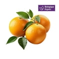 thumbnail image 1 of Your Fresh Market Organic Oranges Whole Fresh, 3 lbs, 1 of 6
