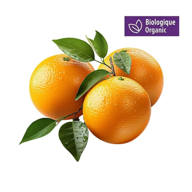 Your Fresh Market Organic Oranges Whole Fresh, 3 lbs