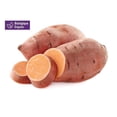 thumbnail image 1 of Your Fresh Market Organic Sweet Potatoes Whole Fresh, 3 Lbs, 1 of 9