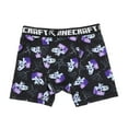 thumbnail image 3 of Minecraft Boys' Boxer Briefs 2-Pack, 3 of 5