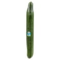 thumbnail image 4 of Concombre, anglais vendu en emballage individuel, 4 of 6