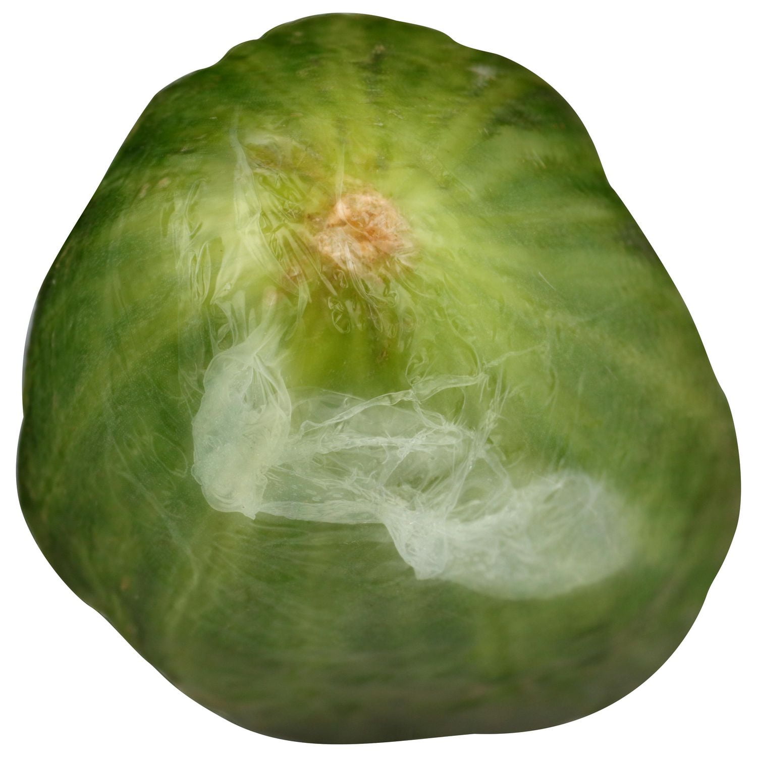 Concombre, anglais vendu en emballage individuel