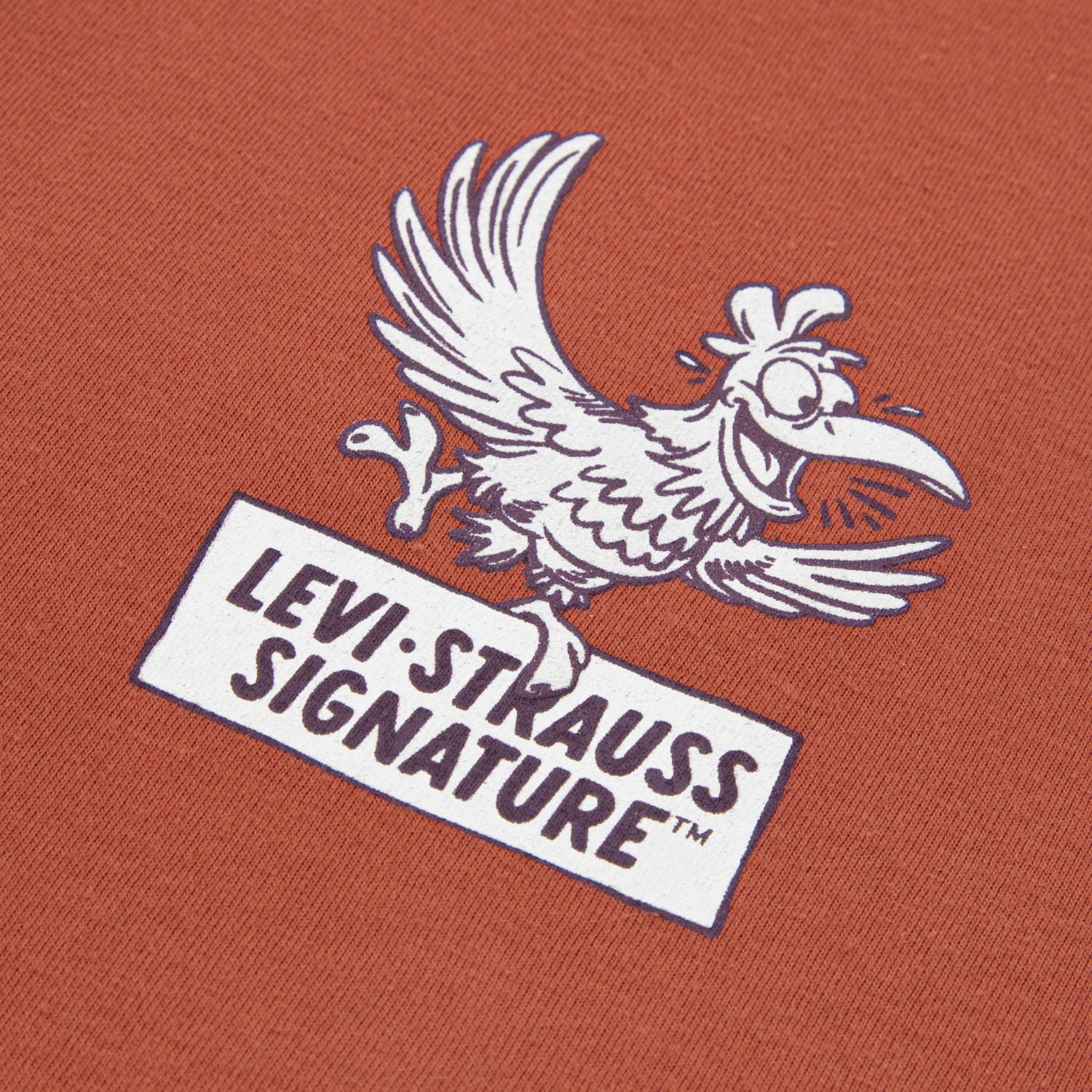 Levi Strauss Signature Graphic Wings and Things T-Shirt