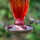 Abreuvoir à colibris Daisy Vase Vintage de Perky-Pet en verre – image 4 sur 8