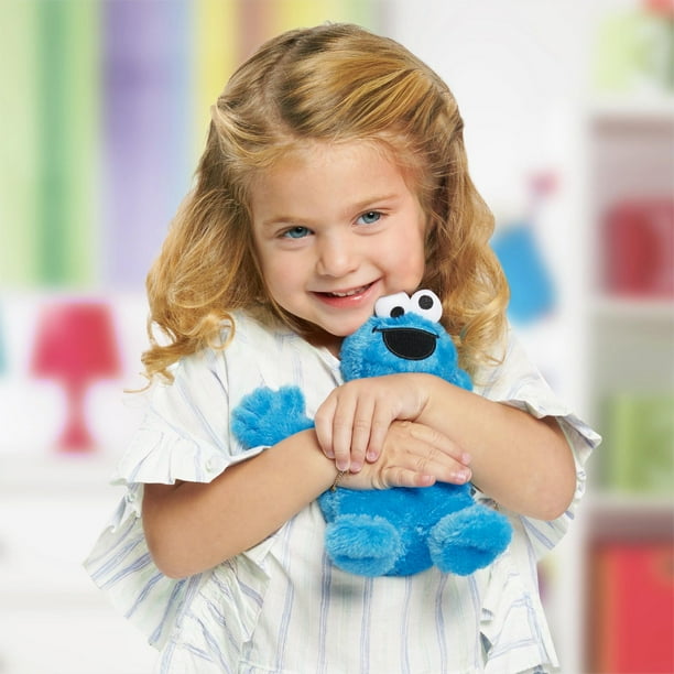 cookie monster teddy bear