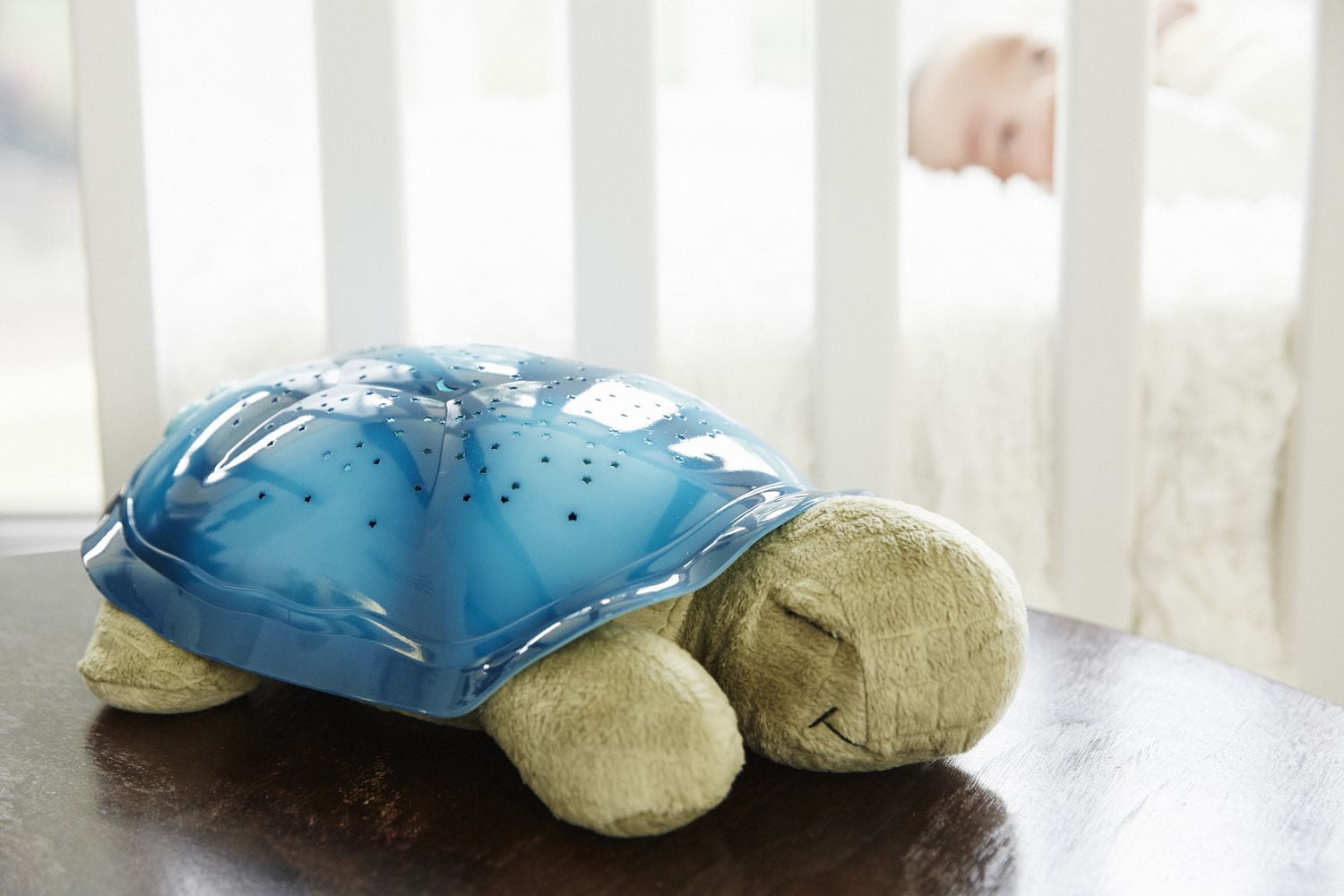 twilight turtle tunes