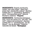 thumbnail image 2 of Cove Blueberry Pomegranate Kombucha, 2 of 5