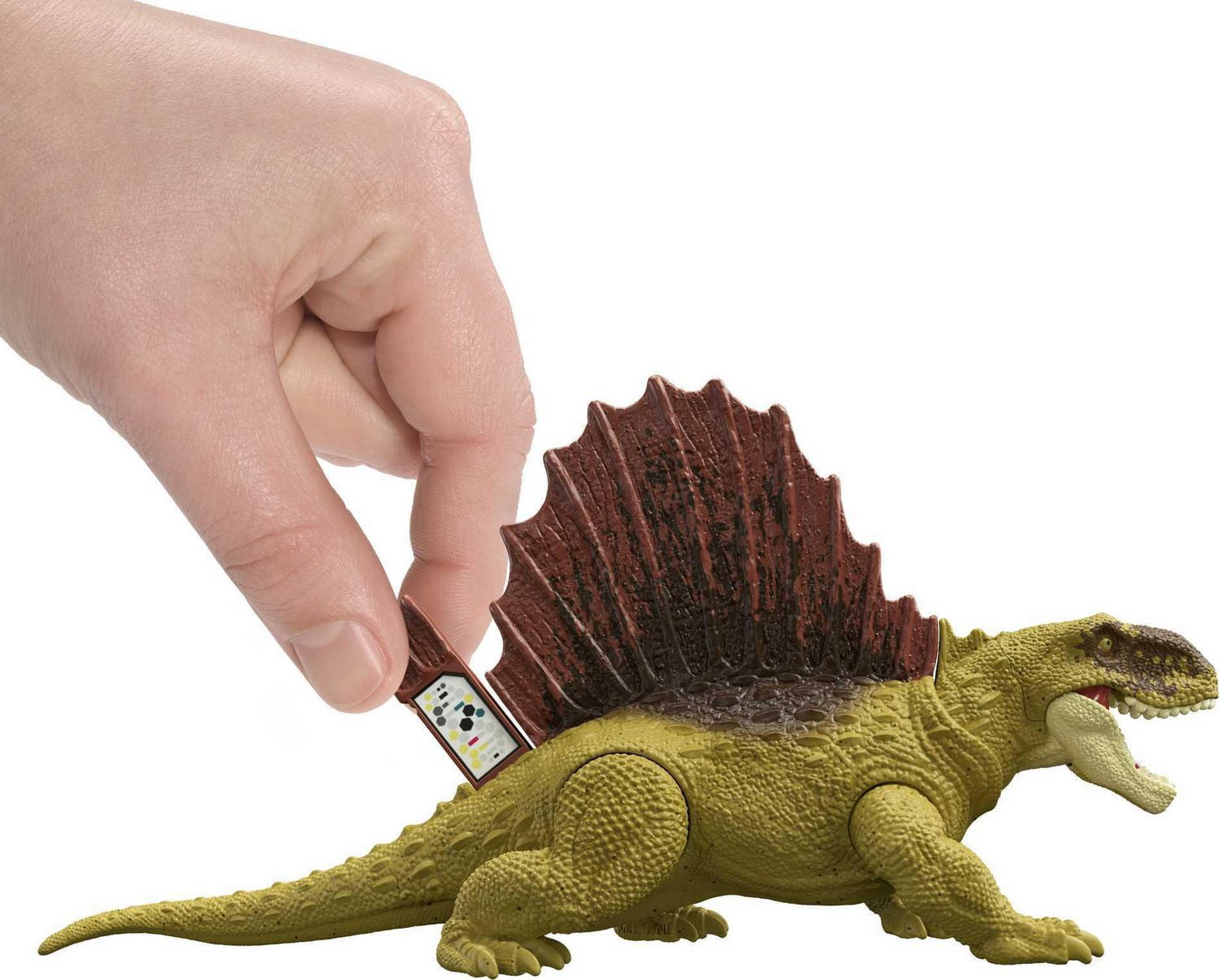 Dimetrodon figure 2024