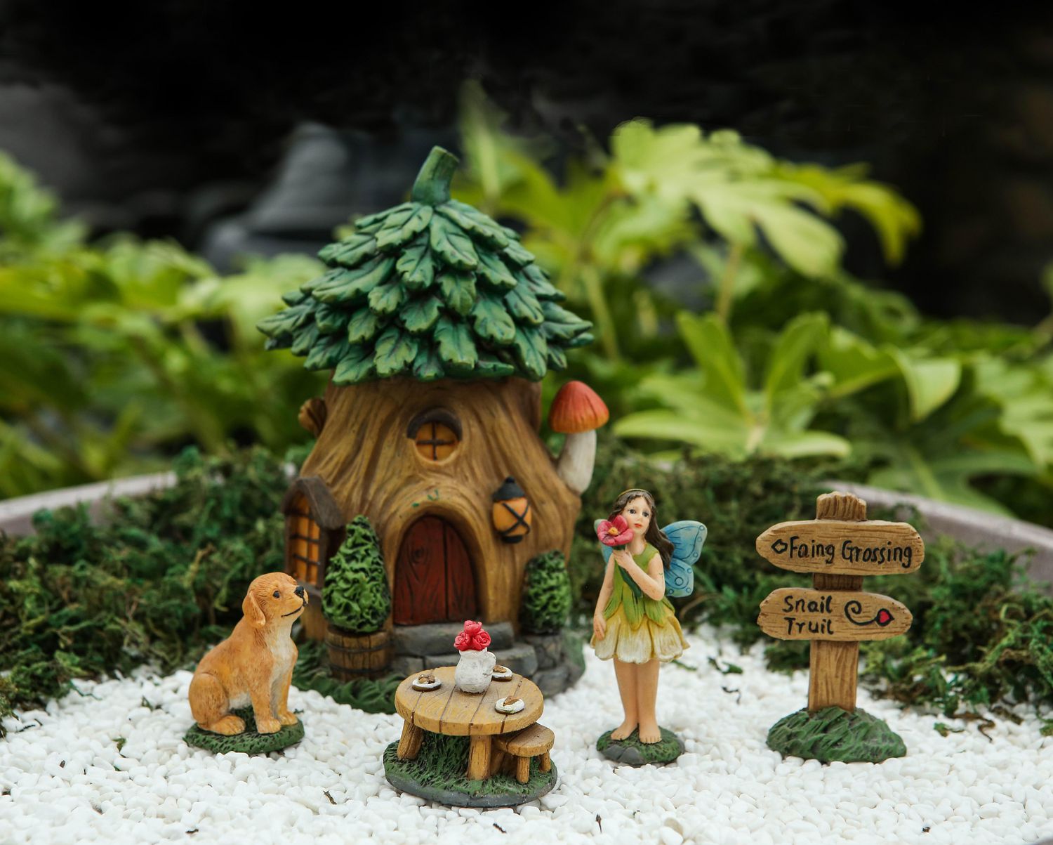 miniature garden set