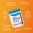 thumbnail image 2 of Progressive Complete Collagen Powder, 10 g, Tropical Breeze Flavour, 500 g, 2 of 8