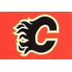 Tapis Calgary Flames de la LNHMD – image 1 sur 2