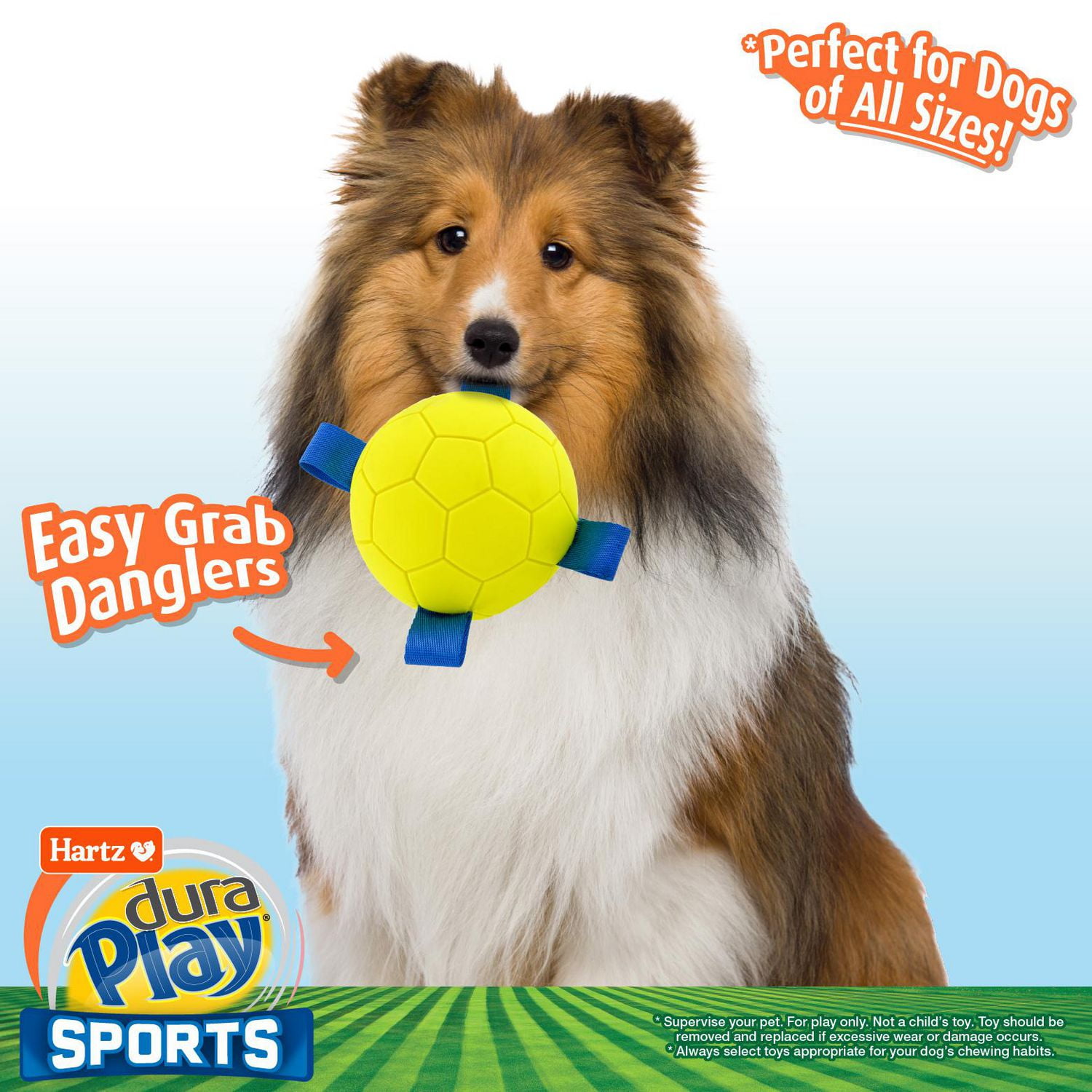 Dura Play Sports Balls Soccer Ball Dog Toy