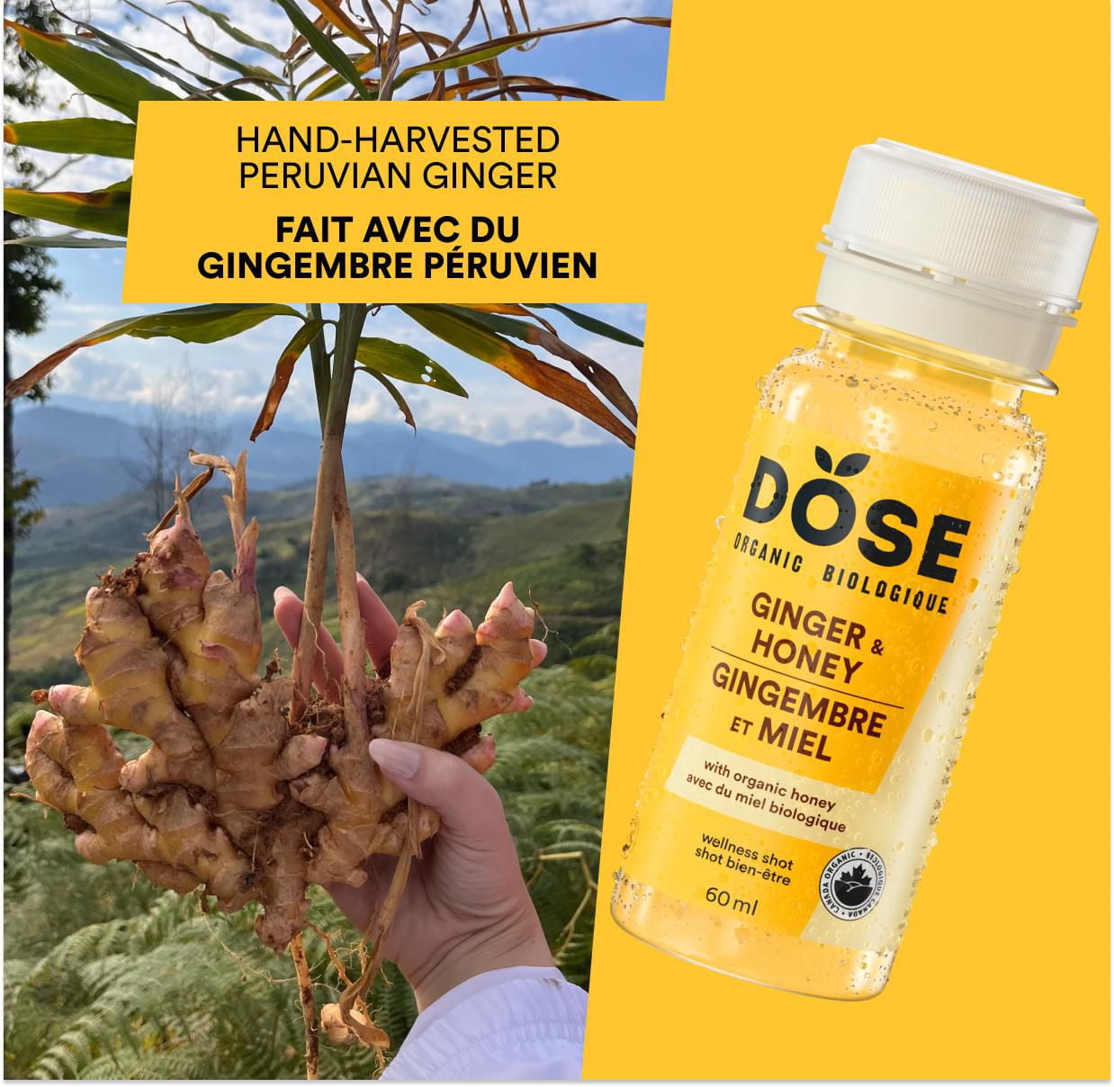 Shots biologiques au gingembre et miel DOSE 4x60mL