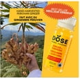 thumbnail image 3 of DOSE Organic Ginger & Turmeric Shot, 4 Pack, 4x60mL, 3 of 8