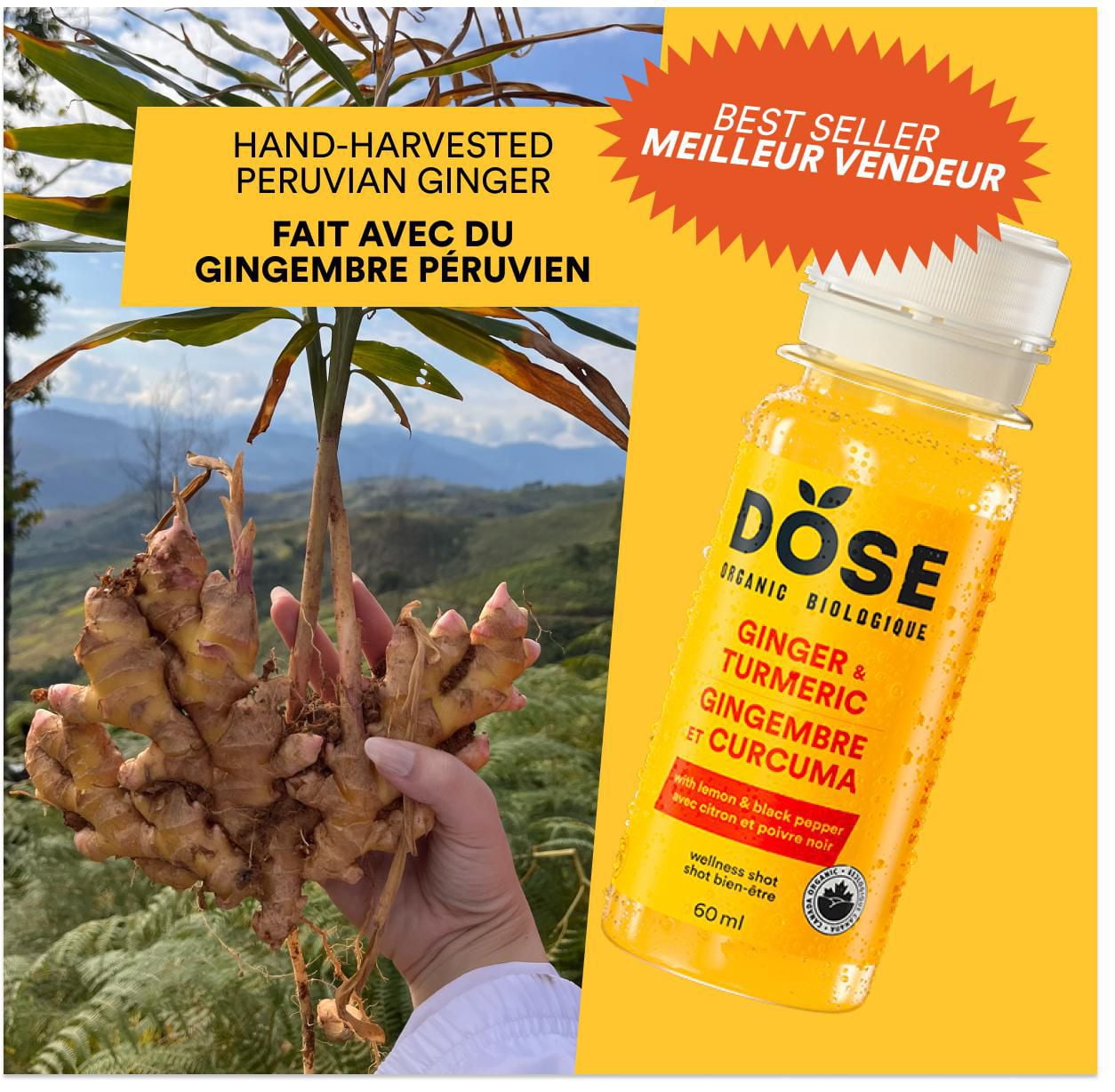 DOSE Organic Ginger and Turmeric shot, 60 mL