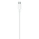Apple Câble de recharge USB-C (1 m) – image 4 sur 4