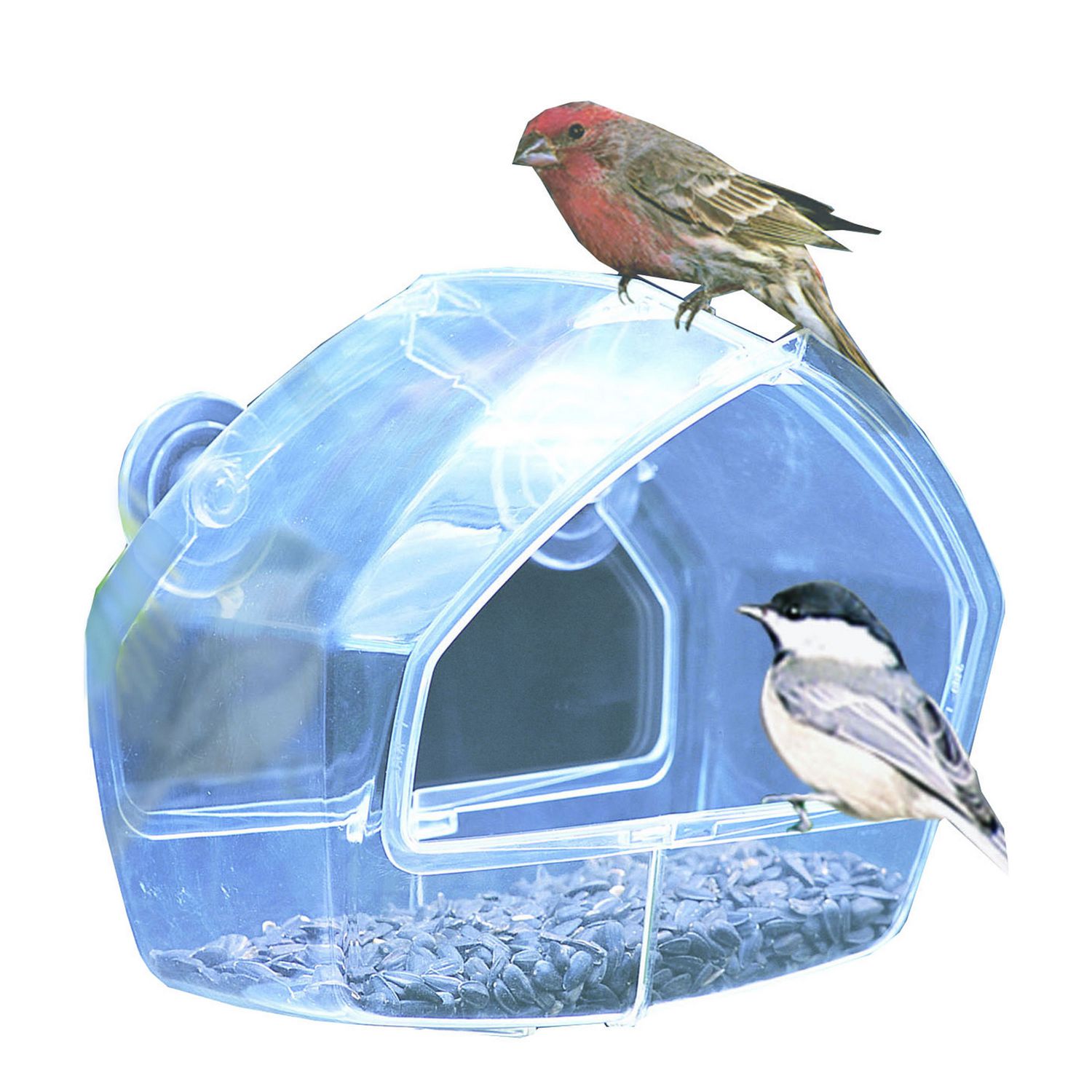 Zolux - Mangeoire Ovale Transparente pour Oiseaux
