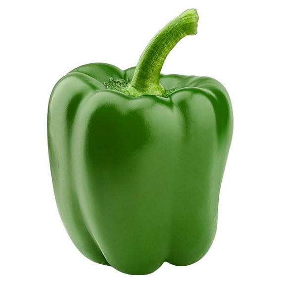 Pepper, Green Bell, Sold in singles, 0.12 - 0.39 KG