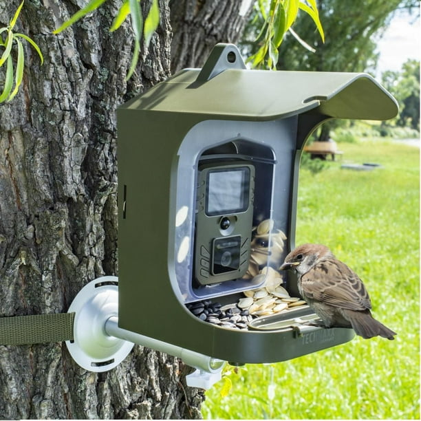 Mangeoire à oiseaux intelligente avec fenêtre de caméra Mangeoire à oiseaux  avec caméra version nocturne 1080p Mangeoire à oiseaux en plastique