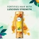 thumbnail image 5 of Herbal Essences Honey I’m Strong Strengthening Conditioner with Honey Essences,, 5 of 5