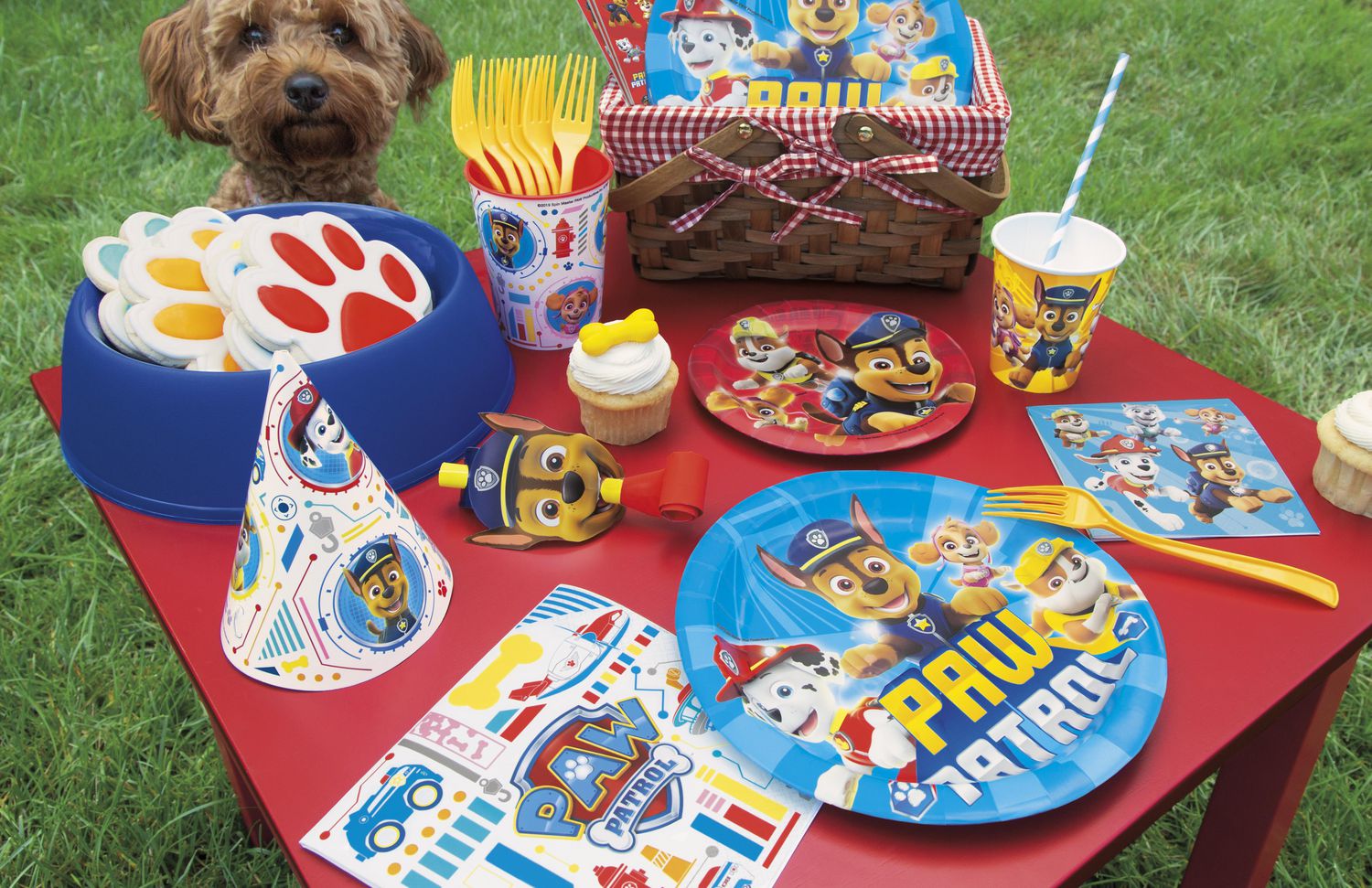 8 gobelets en papier 9 oz PAW Patrol Gobelet jetable contien 9oz 