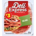 thumbnail image 1 of Maple Leaf Deli Express Salami, 1 of 1