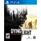 Dying Light PS4 – image 1 sur 1