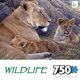 Casse-tête de 750 morceaux de Sure-Lox Wildlife Fall Pride – image 1 sur 2