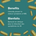 thumbnail image 4 of Webber Naturals® Probiotic Max IBS Support 30 Billion, 4 of 9