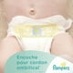 PAMPERS SWADDLERS SENSITIVE COUCHES - FORMAT SUPER – image 5 sur 7