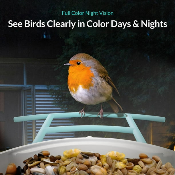 Mangeoire pour caméra d'extérieur Netvue Birdfy, mangeoire