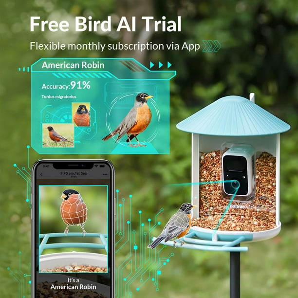 Mangeoire à oiseaux avec caméra d'extérieur, mangeoire à oiseaux  intelligente Birdfy pour l'observation des oiseaux, capture  d'images/vidéos/détection de mouvement, bleu (Birdfy Lite + Solar) 