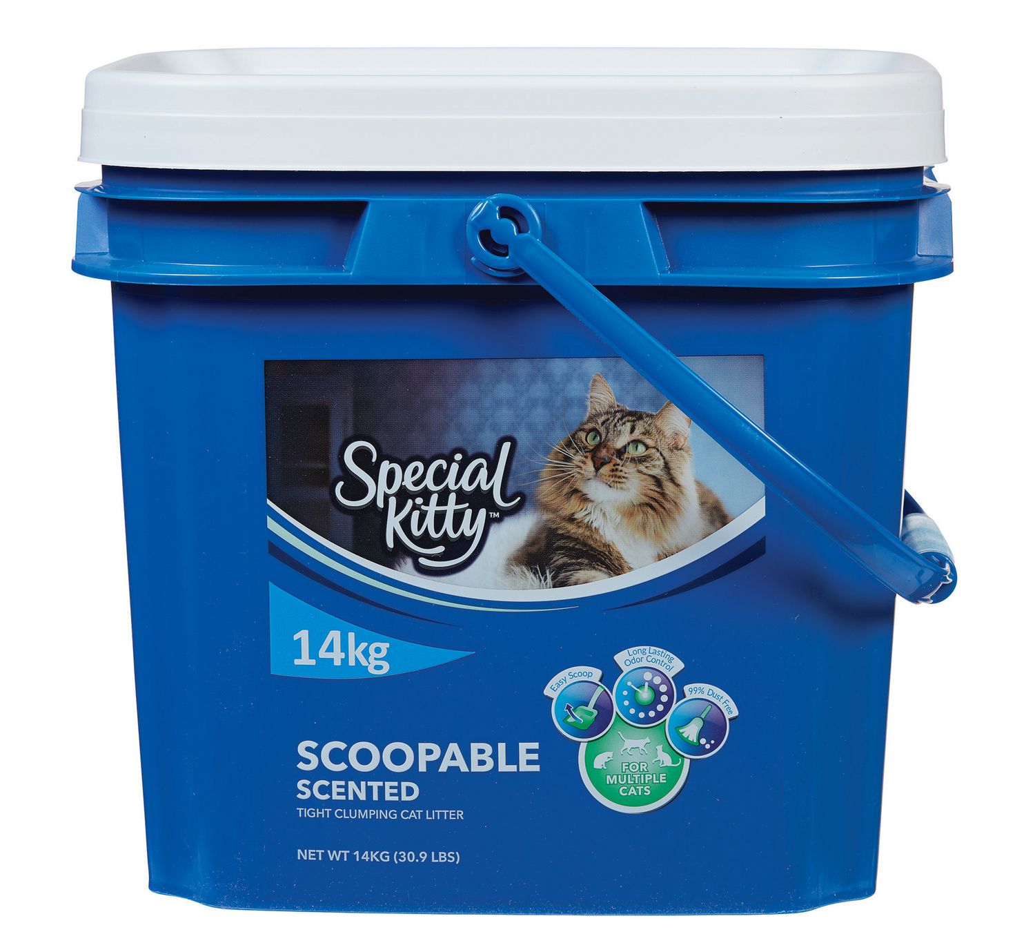 Special Kitty Scoopable Scented Tight Clumping CAT Litter Walmart Canada
