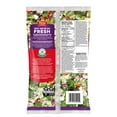 thumbnail image 2 of Fresh Express Thai 'N' Cashews Chopped Salad Kit, 360 g, 2 of 5