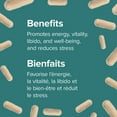 thumbnail image 4 of Webber Naturals® Maca for Women 1650 mg, 4 of 8