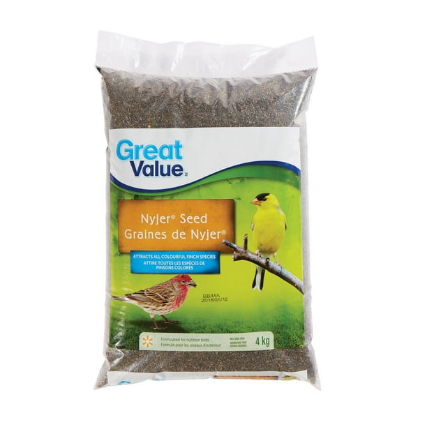 Mélange de graines de Nyjer Great Value 4 kg pour oiseaux sauvages