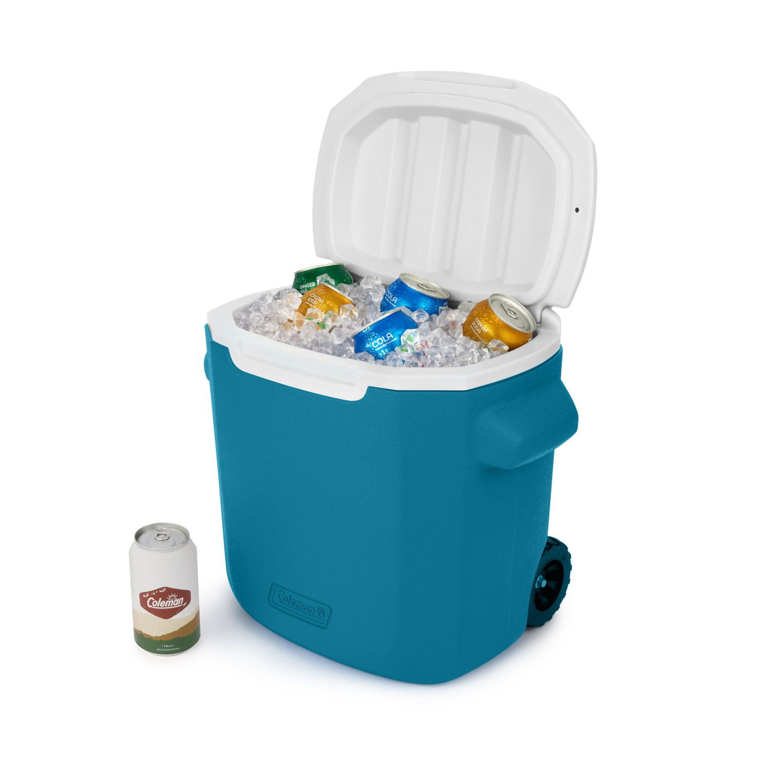 Best 28 quart store cooler