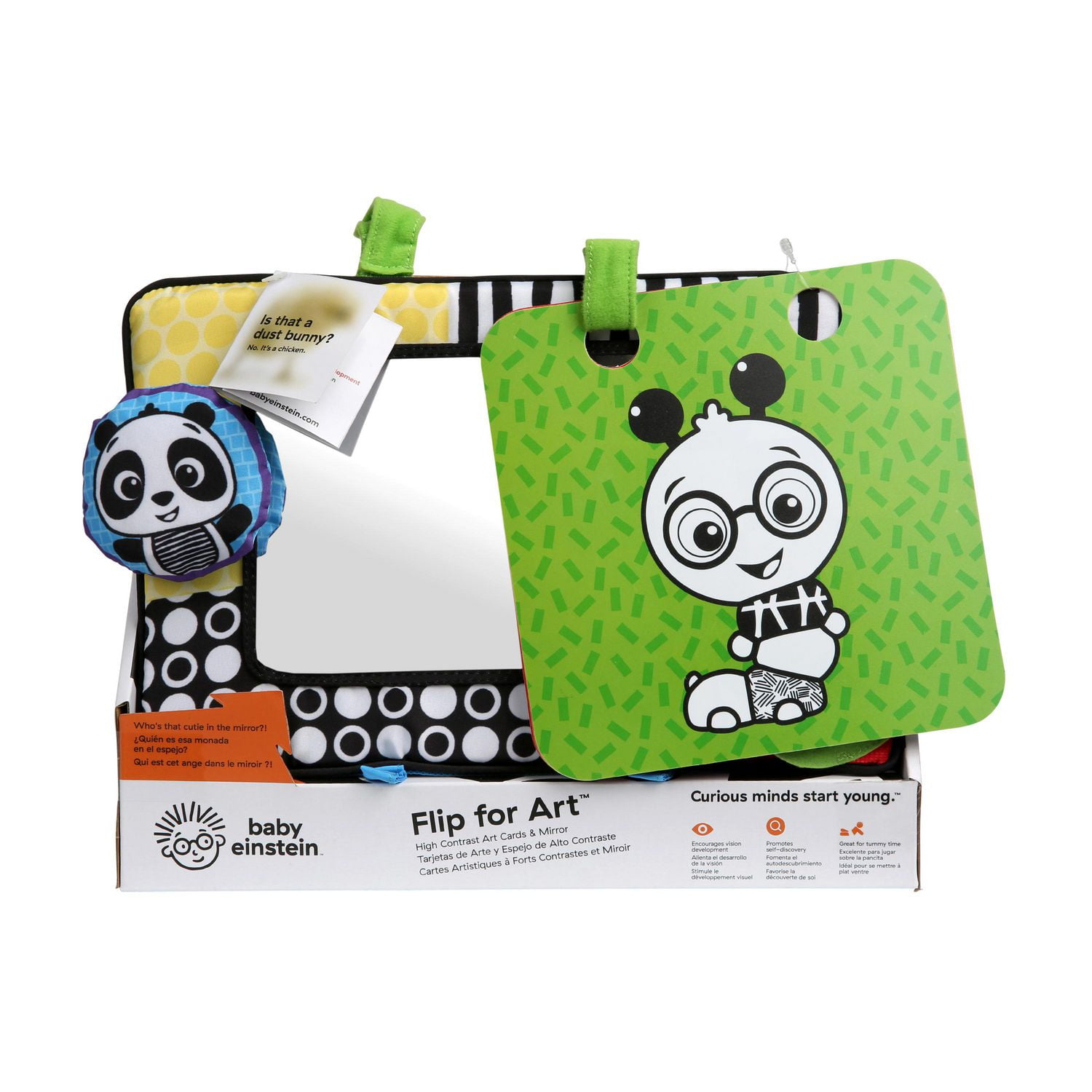 Baby Einstein Flip for Art High Contrast Art Cards & Mirror