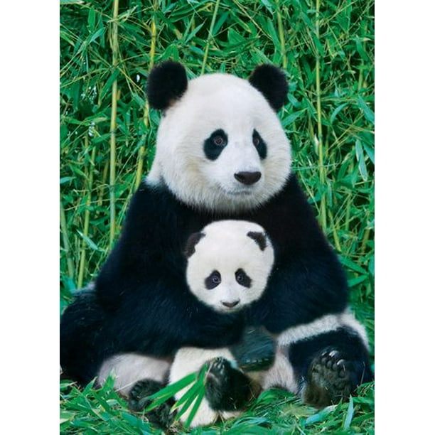 Panda et Ourson - 6000-0173