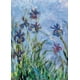 Monet - Iris - 6000-2034 – image 1 sur 2