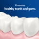 Brosse à dents Oral-B Cavity Defense, souple 4 unités – image 4 sur 6