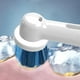 Brossettes de rechange Oral-B Professional Precision Clean 5 unités – image 4 sur 9