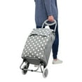 thumbnail image 4 of Rolling Shopping Cart, 4 of 5