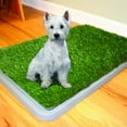thumbnail image 3 of Potty Patch Indoor Doggie Restroom, 3 of 3