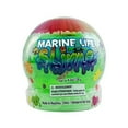 thumbnail image 2 of Marine Slime, 2 of 6