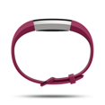 thumbnail image 3 of Fitbit Alta HR Classic Fuschia Large Accessory Band, 3 of 4